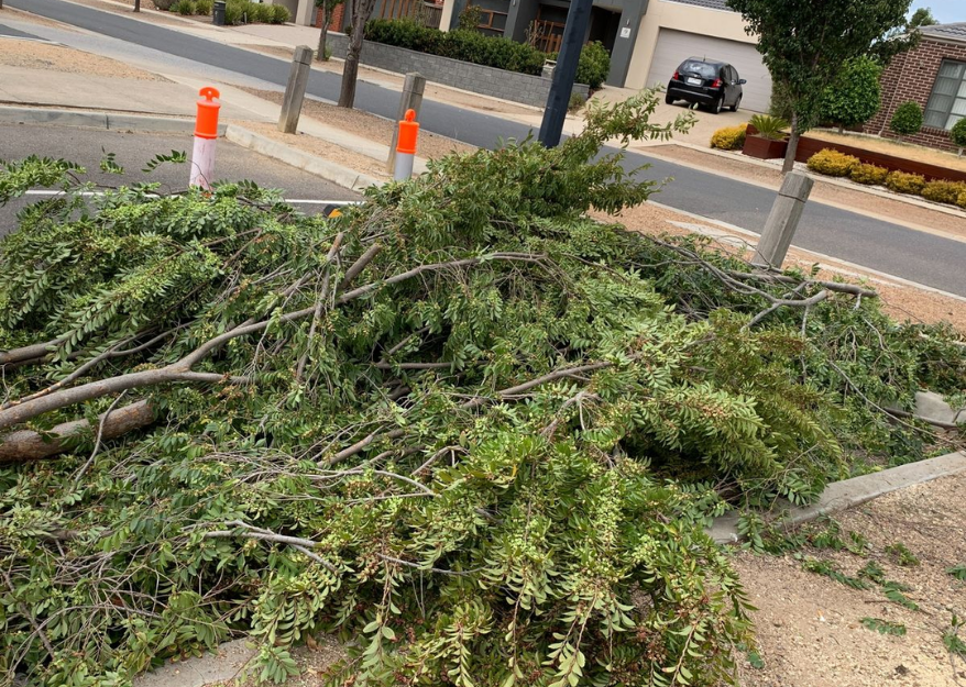 Complete Outdoor Waste Removal Services